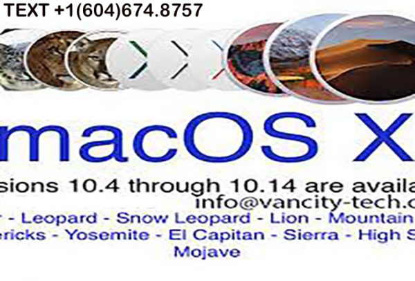 OS X 10.6 Snow Leopard - 28 August 2009 OS X 10.7 Lion (Barolo) - 20 July 2011 OS X 10.8 Mountain Lion (Zinfandel) - 25 July 2012 OS X 10.9 Mavericks (Cabernet) - 22 October 2013 OS X 10.10: Yosemite (Syrah) - 16 October 2014 OS X 10.11: El Capitan (Gala) - 30 September 2015 macOS 10.12: Sierra (Fuji) - 20 September 2016 macOS 10.13: High Sierra (Lobo) - 25 September 2017 macOS 10.14: Mojave (Liberty) - 24 September 2018 macOS 10.15: Catalina (