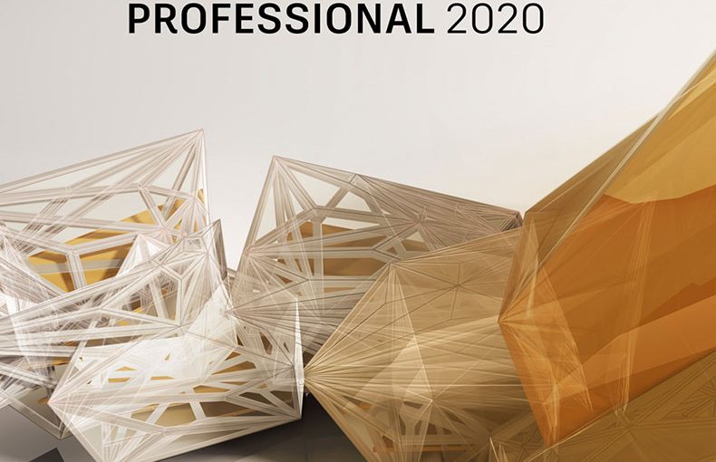 Autodesk Robot Structural Analysis Pro 2020
