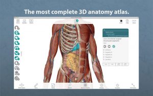 Visible Body Human Anatomy Atlas 7.4